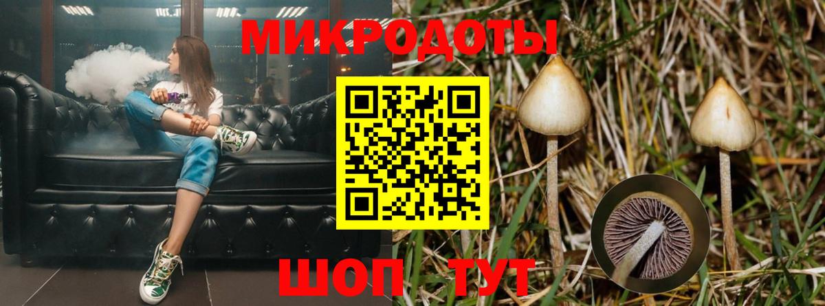 Ачхой-Мартан  Псилоцибиновые грибы прущие грибы  Галлюциногенные грибы мицелий  Вход с VPN 